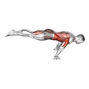 Full planche push-up animation