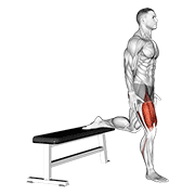 Quads animation