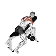 Dumbbell incline y-raise animation
