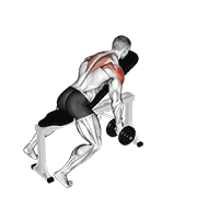 Dumbbell incline t-raise animation
