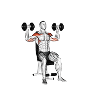 Dumbbell seated alternate shoulder animation
