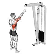 Cable one arm pulldown animation
