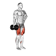 Dumbbell contralateral forward lunge animation