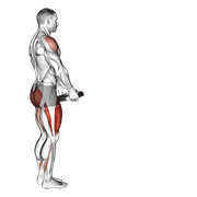 Weighted lunge with swing animation