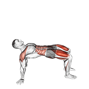 Reverse plank with leg lift animation