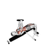 Weighted decline sit-up animation