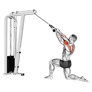 Cable kneeling rear delt row (with rope) (male) animation