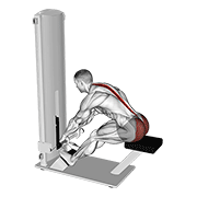 Lever seated good morning animation