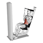 Lever seated crunch v. 2 animation