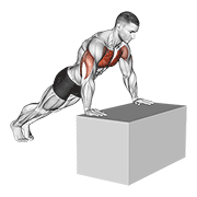 Incline push-up (on box) animation